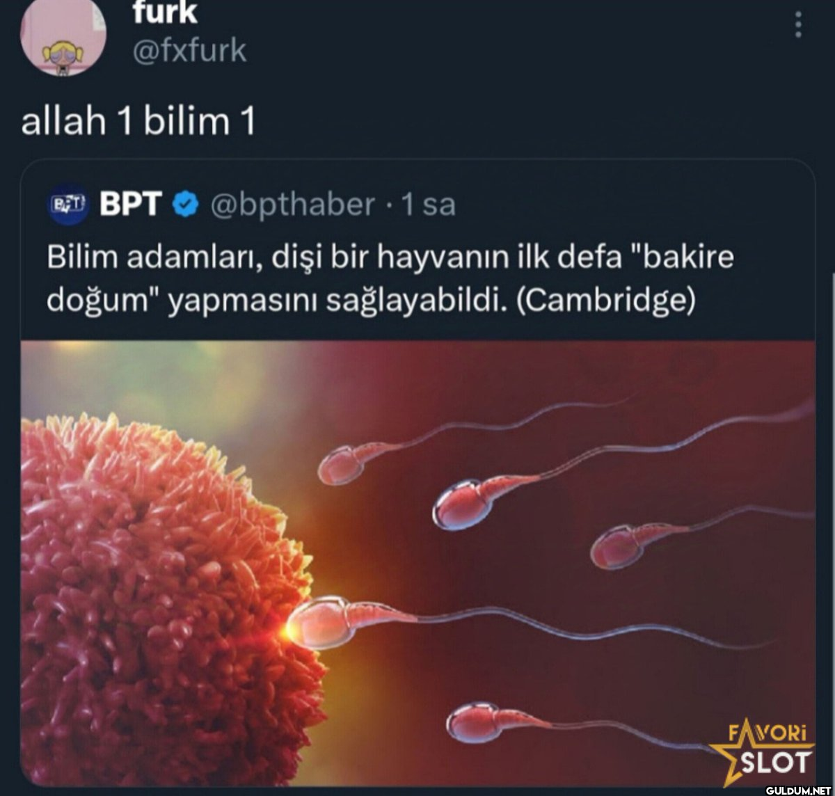 allah 1 bilim 1 BTBPT...