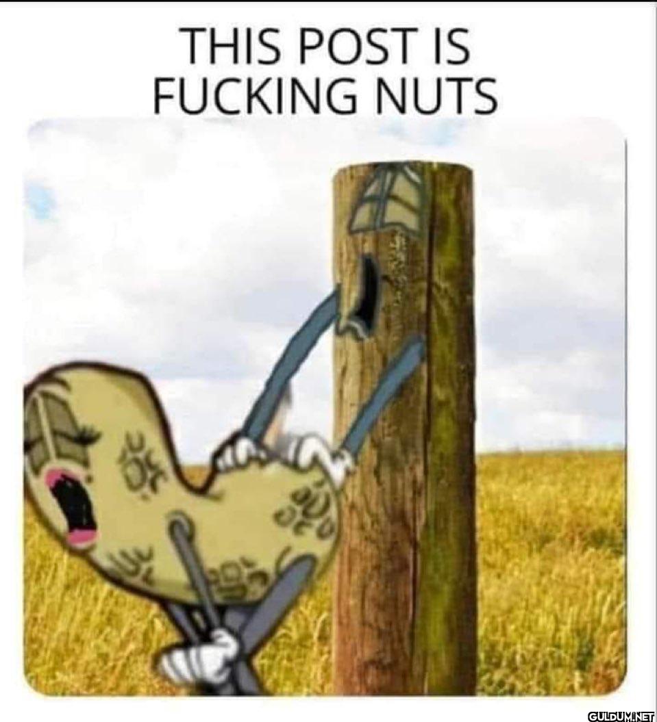 🥁🥁    THIS POST IS FUCKING NUTS