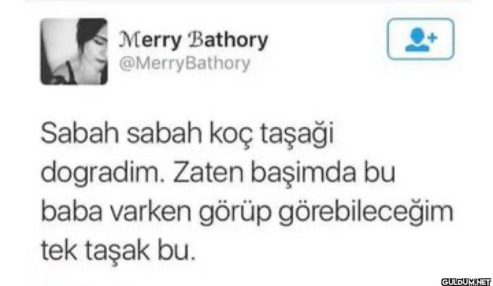 Sabah sabah koç taşaği...