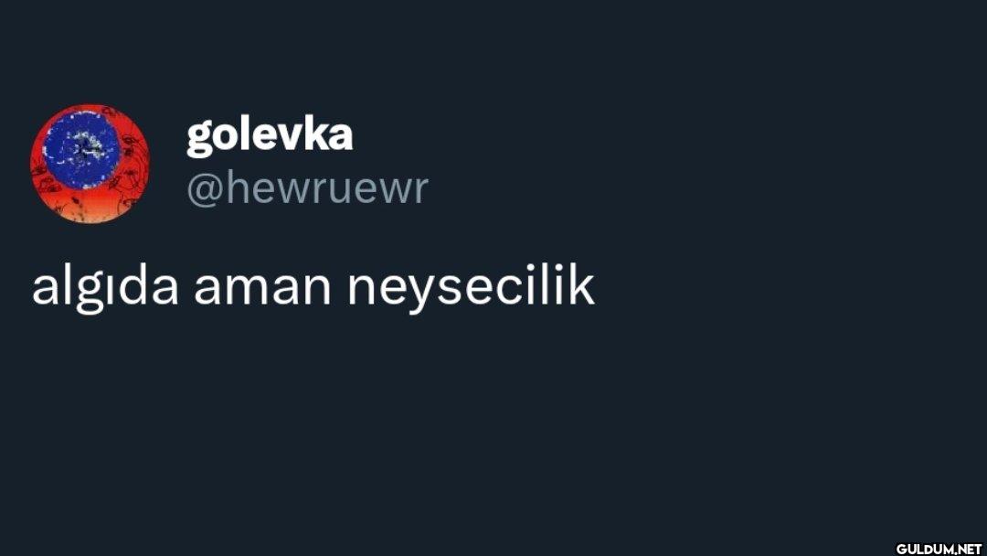 algıda aman neysecilik