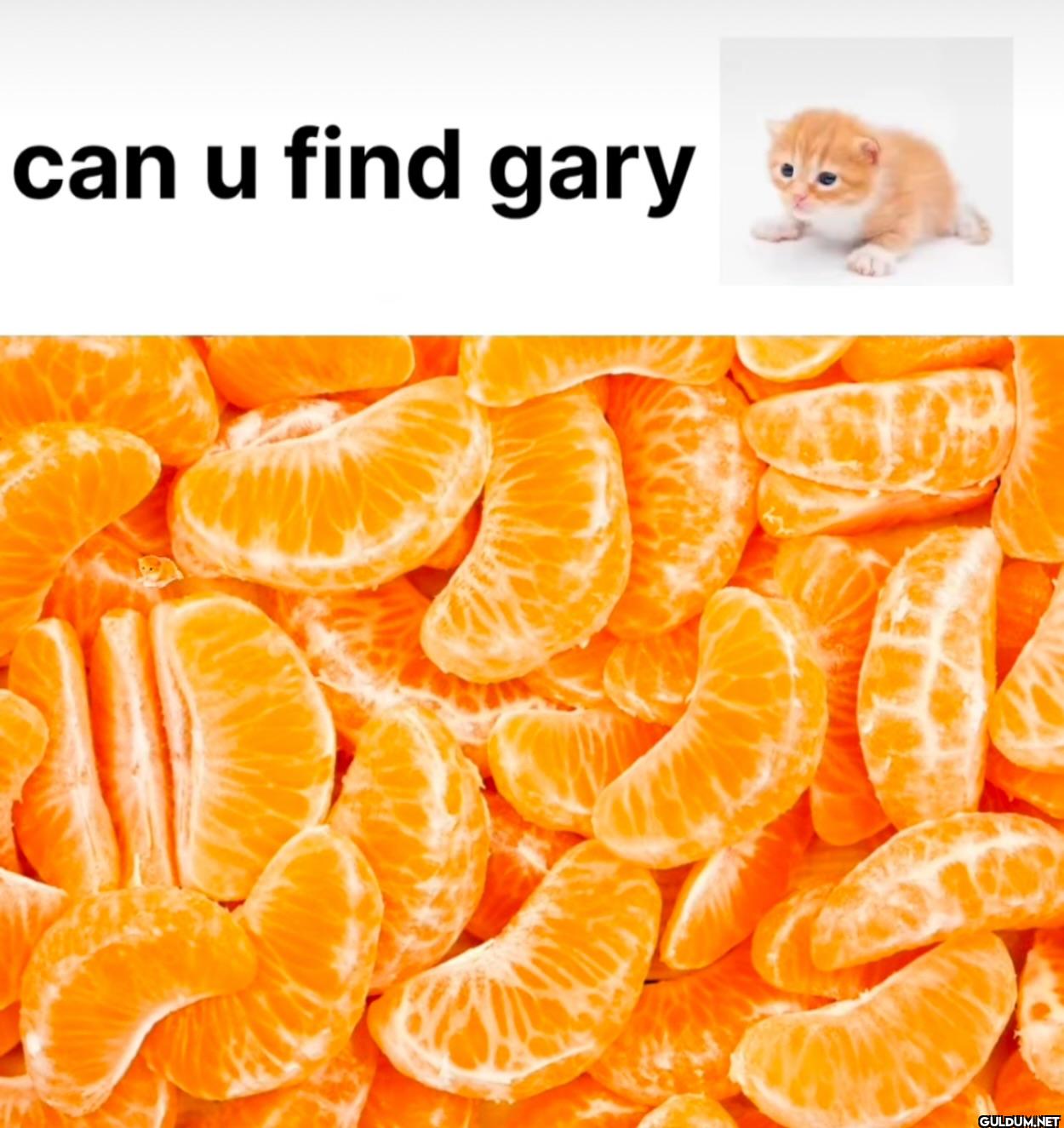 ︎ ︎ ︎ ︎ ︎ ︎ ︎ ︎ ︎ ︎ ︎ ︎ ︎...