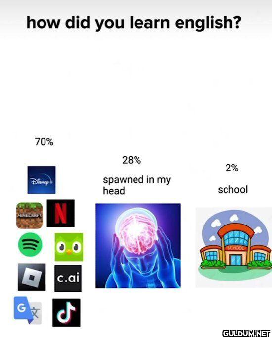 how did you learn english?...