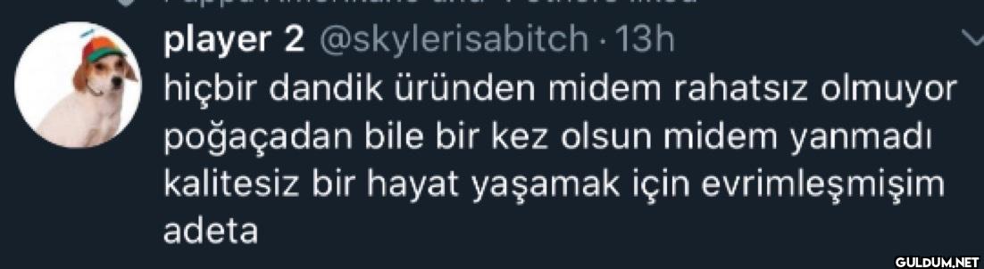 13h hiçbir dandik üründen...