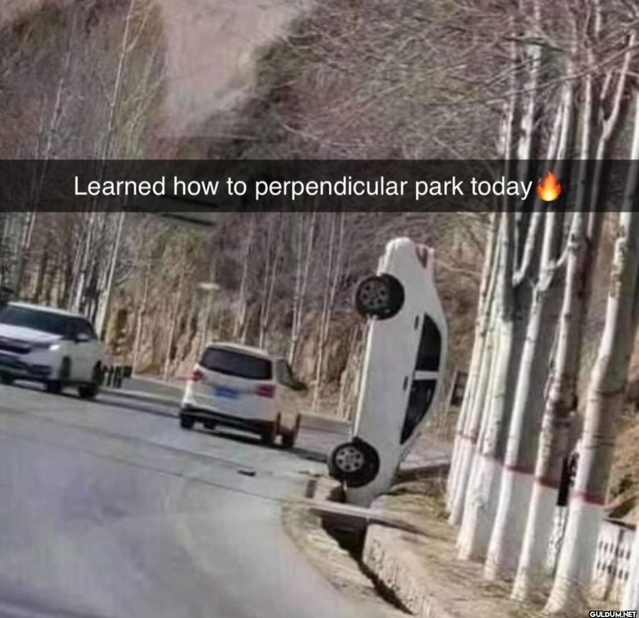 Learned how to...