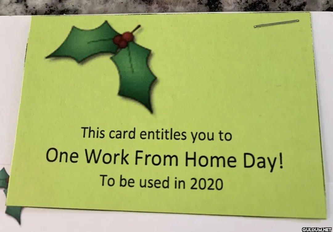 This card entitles you to...