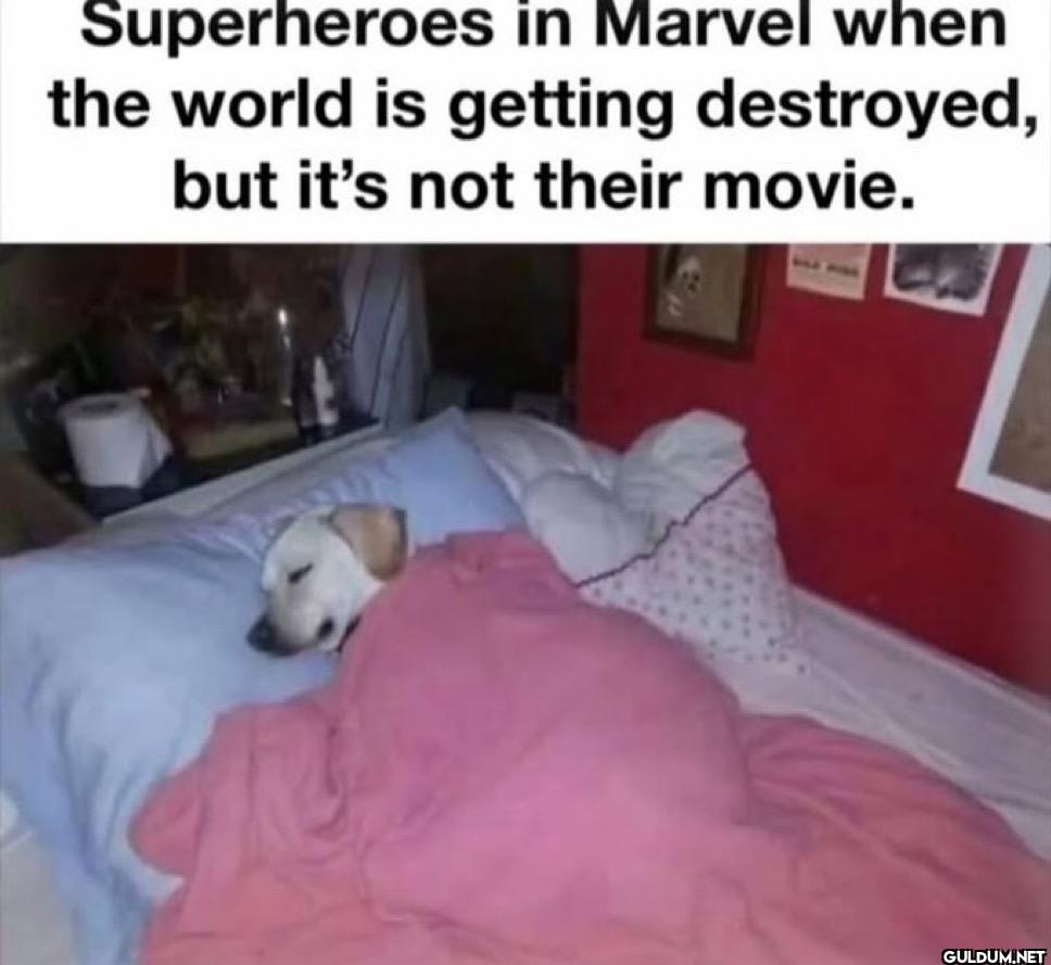 Superheroes in Marvel when...