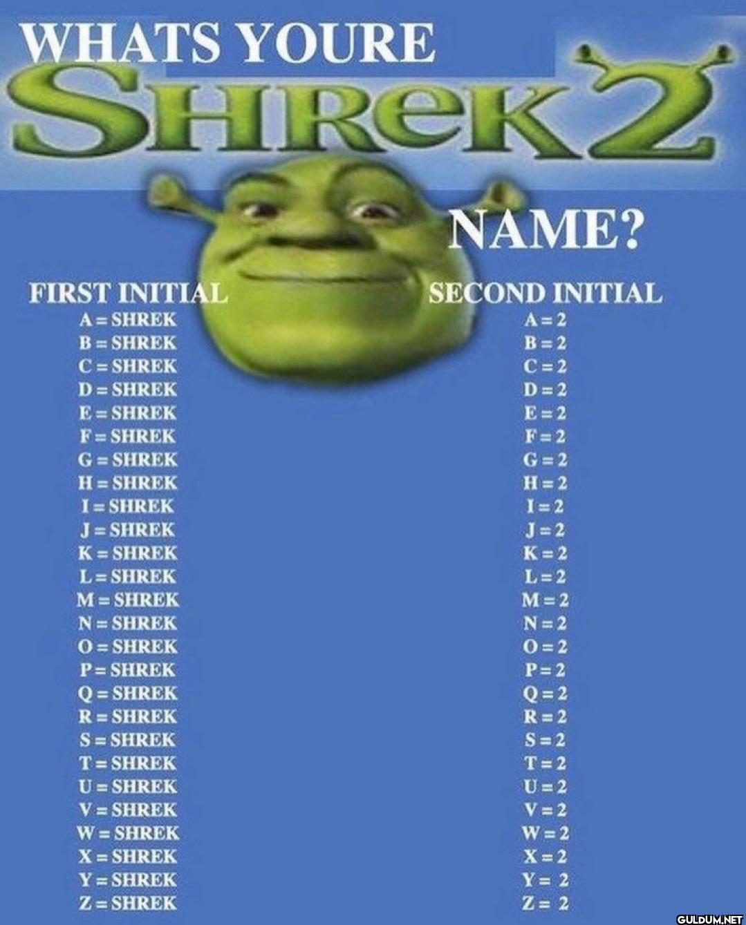 WHATS YOURE SHREK 2 NAME?...