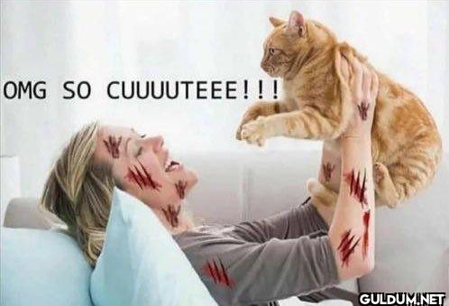 cat owners be like:    OMG...