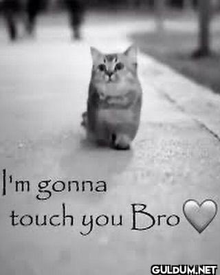 I'm gonna touch you Bro