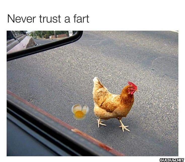 Never trust a fart
