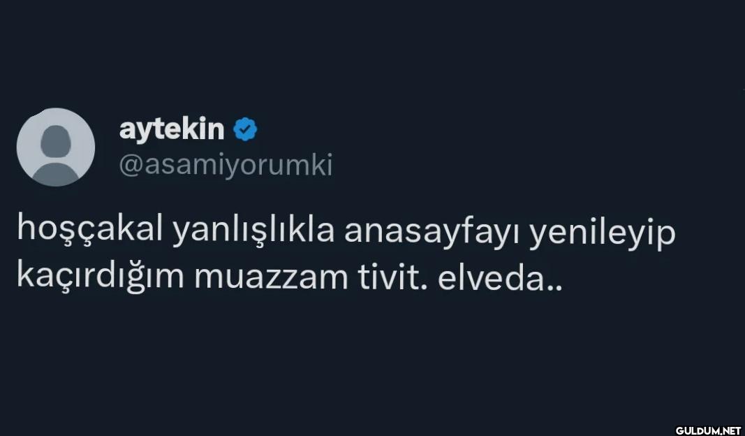 hoşçakal yanlışlıkla...