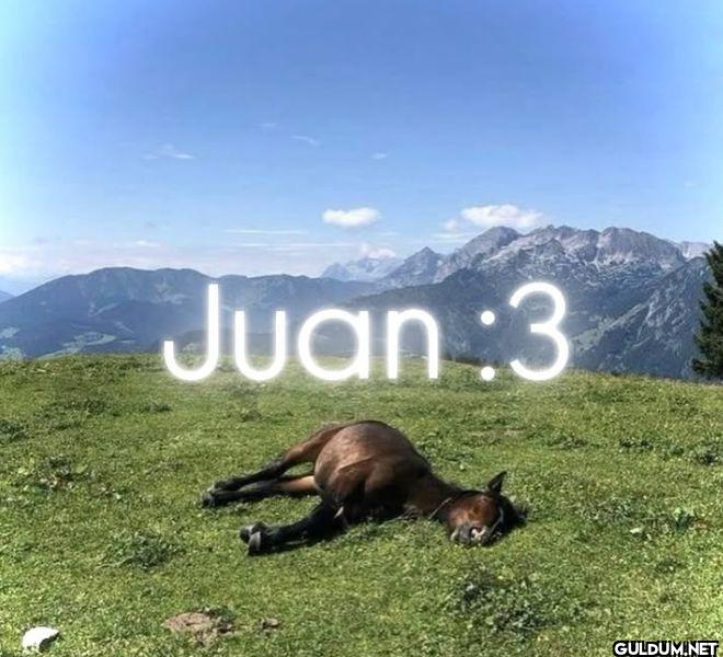 Juan 3