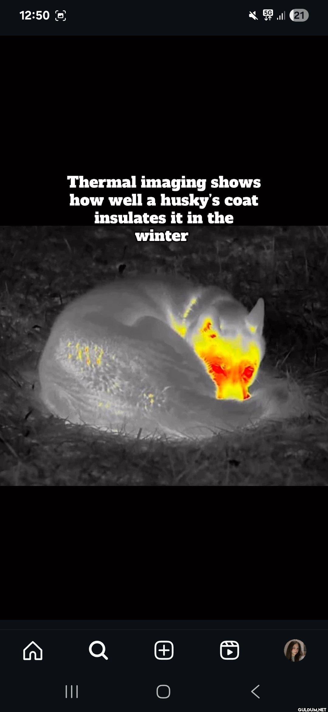 Thermal imaging of a...