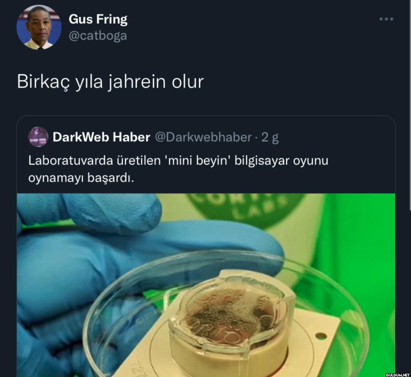 Birkaç yıla jahrein olur...
