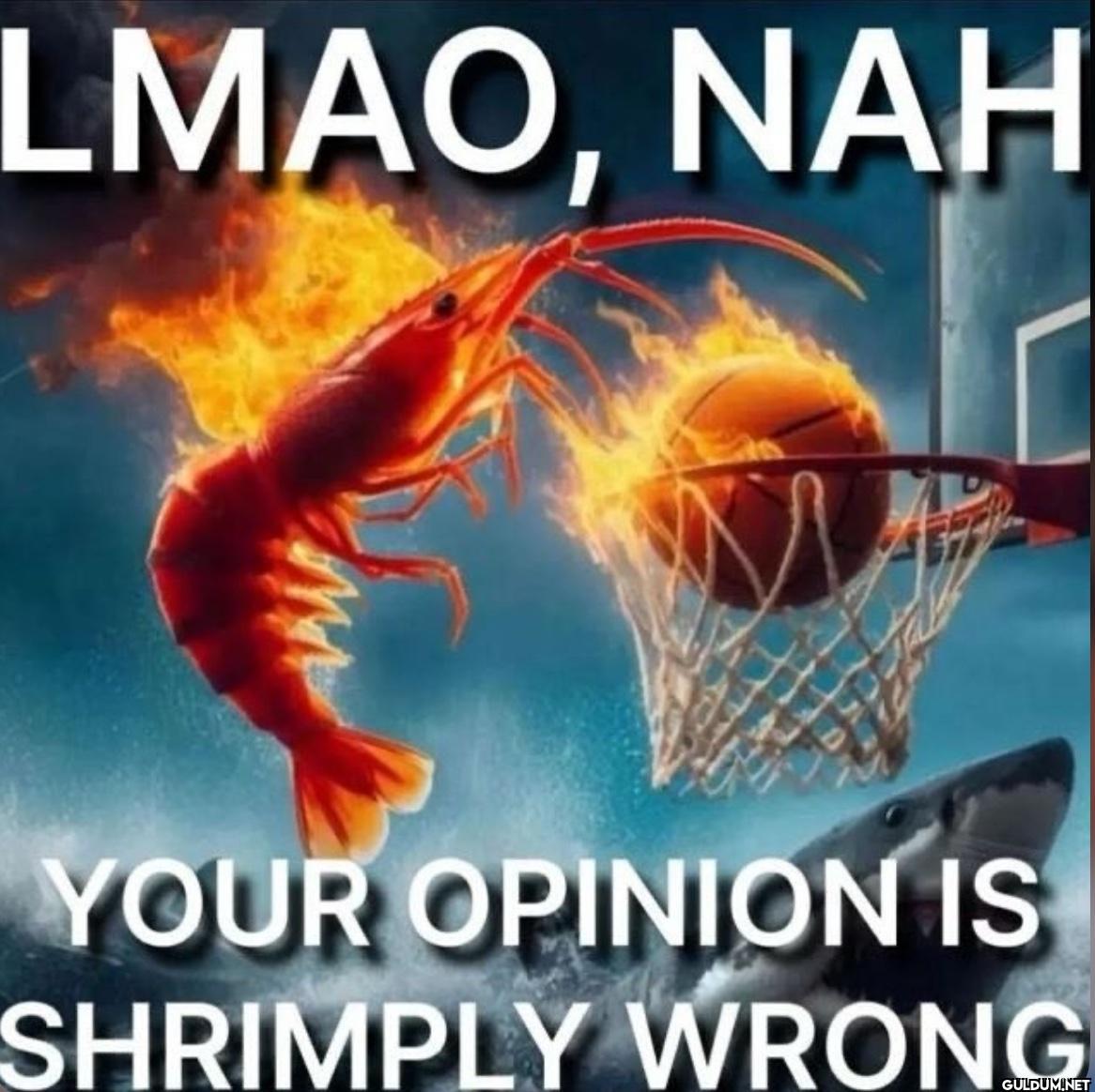 LMAO, NAH YOUR OPINION IS...