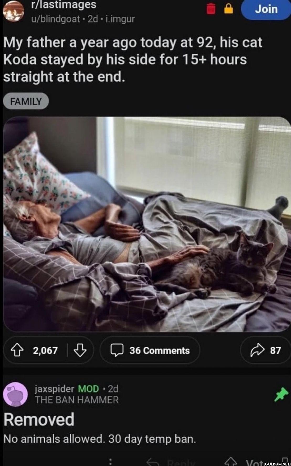 r/lastimages u/blindgoat...