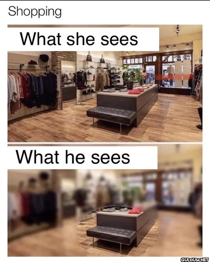 Yes, the bench!   ...