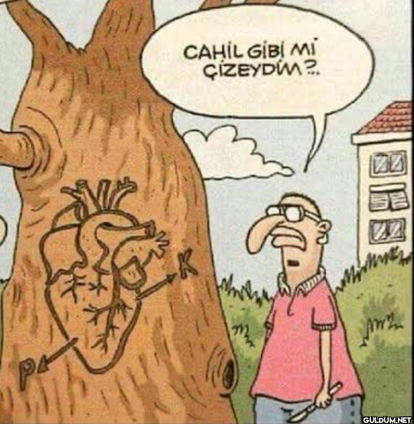 P K CAHİL GİBİ MI ÇIZEYDIM? Wan