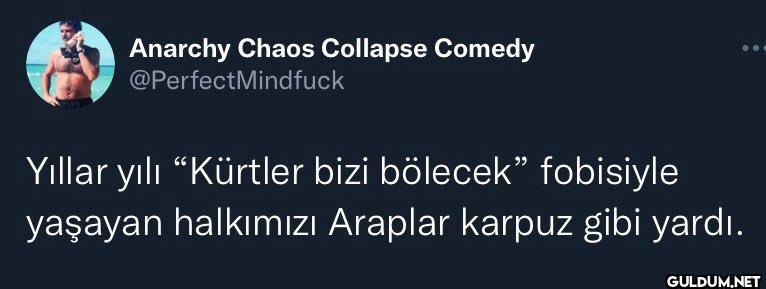 Hayda    Anarchy Chaos...