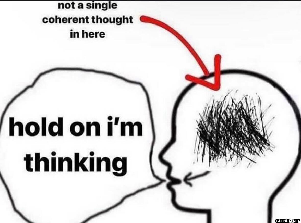 not a single coherent...