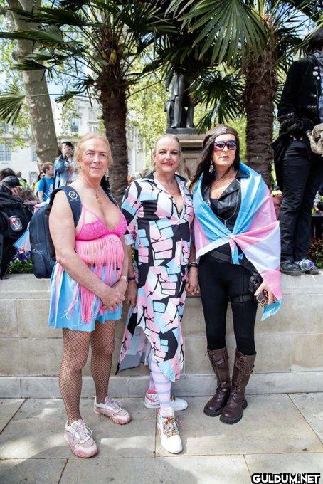 What would you name this group?