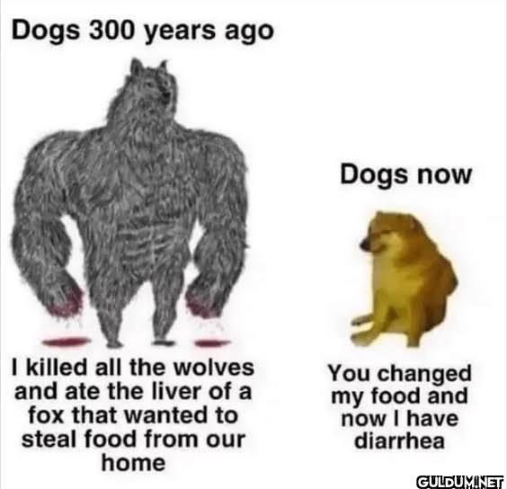 Dogs 300 years ago Dogs...
