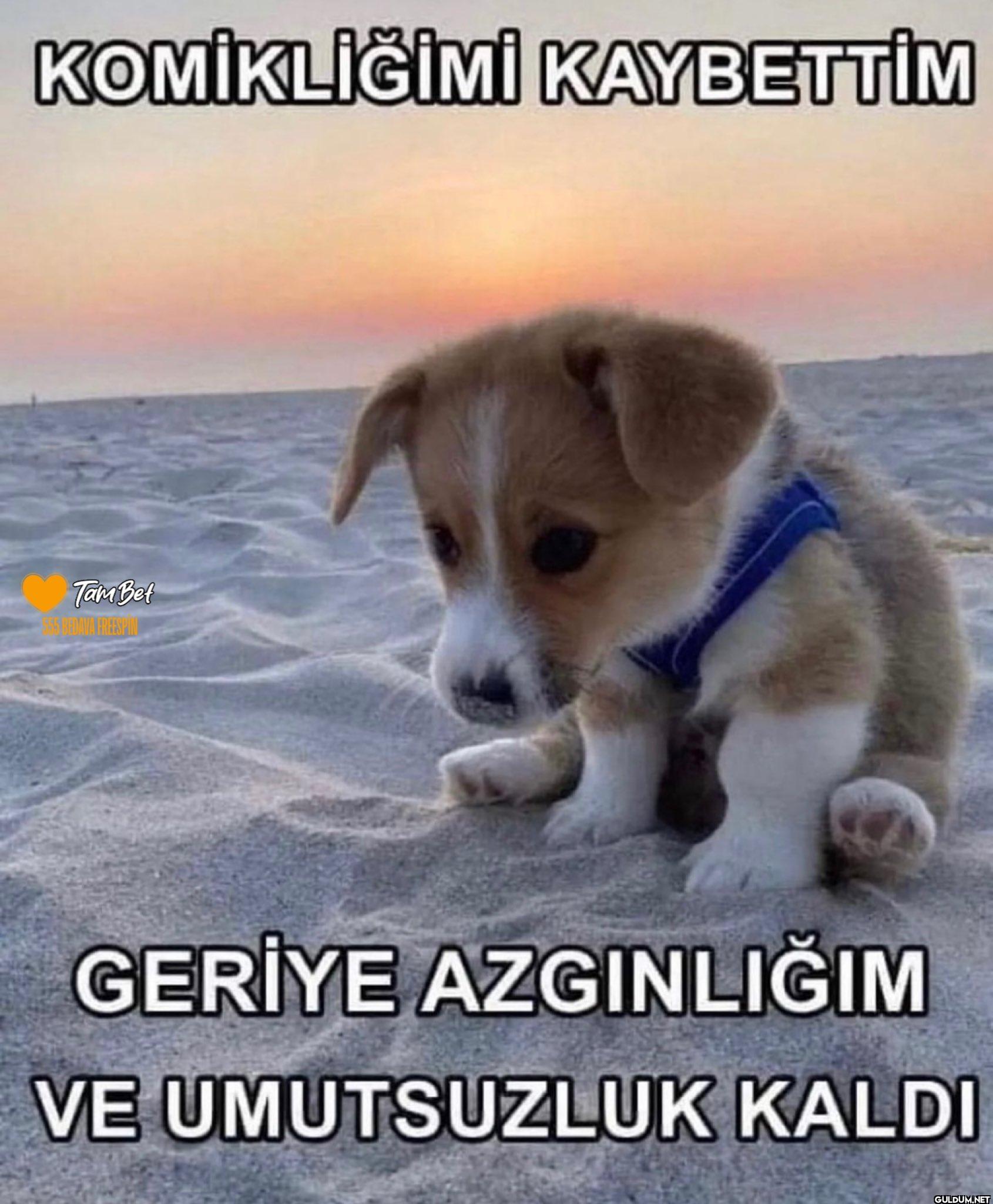 KOMİKLİĞİMİ KAYBETTİM Tam...