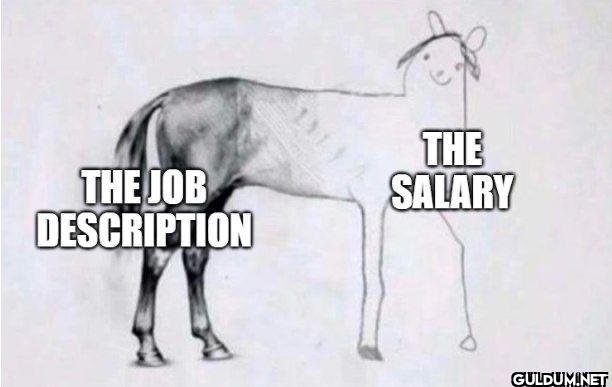 THE JOB DESCRIPTION THE SALARY