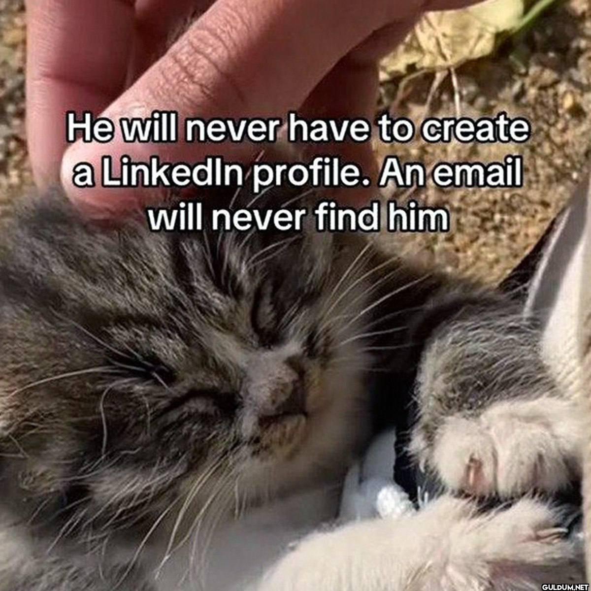 He will never have to...