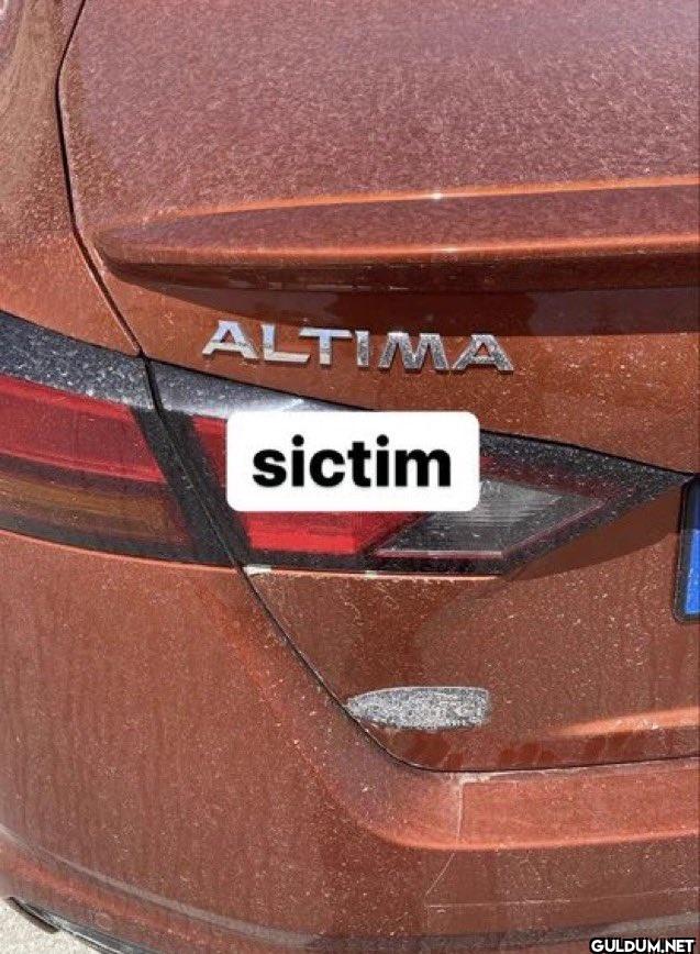 ALTIMA sictim