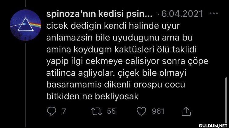 5.04.2021 Olum kaktüsüm...