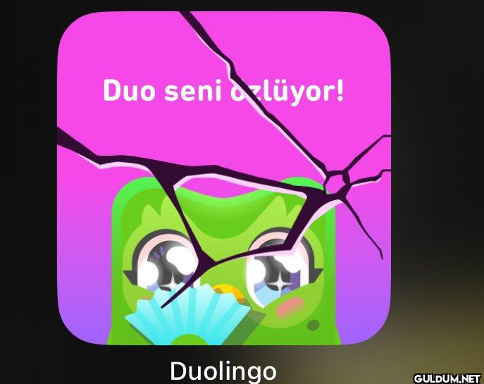 Duolingo, ikonik maskotu...