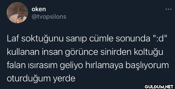 Laf soktuğunu sanıp cümle...