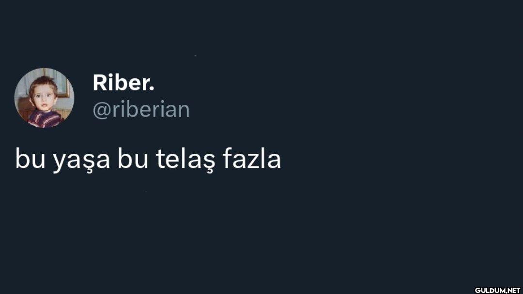 bu yaşa bu telaş fazla