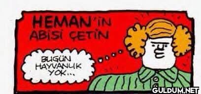 Bugün hayvanlık yok.....