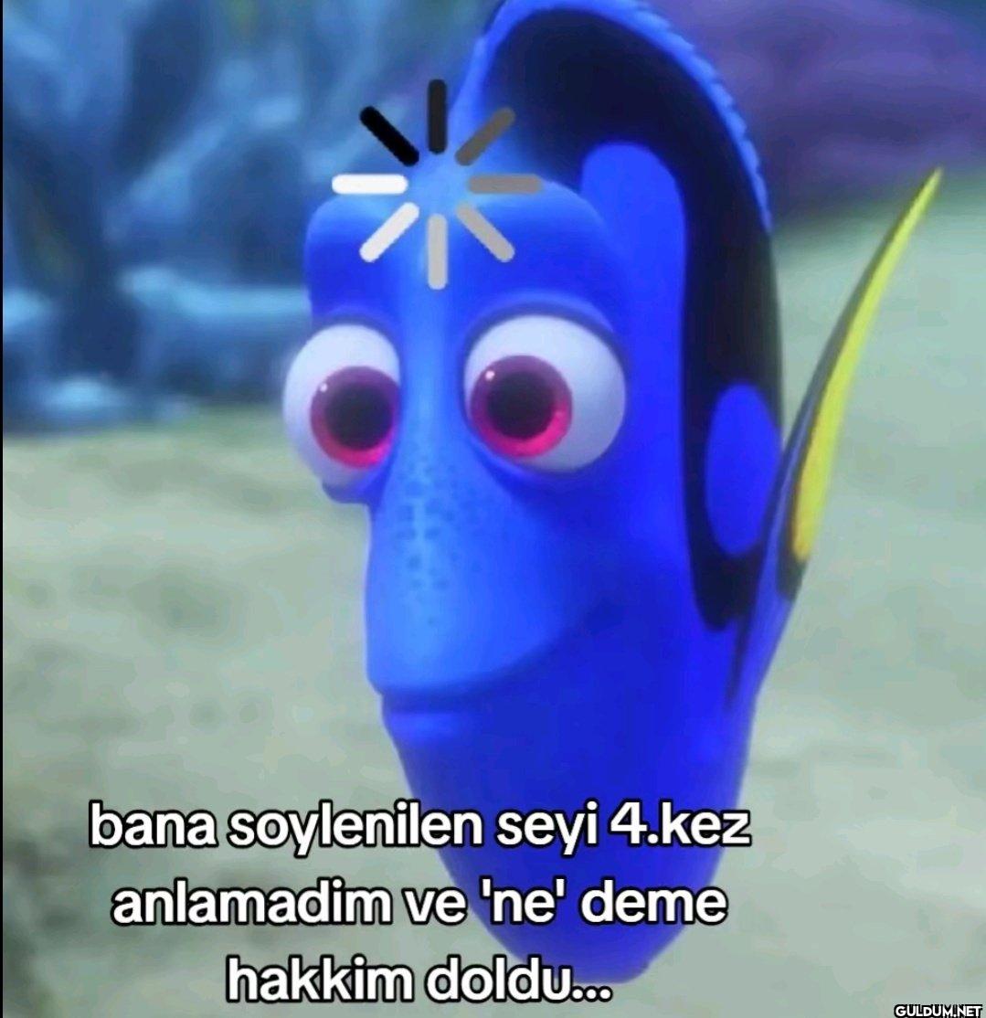 bana soylenilen seyi 4.kez...