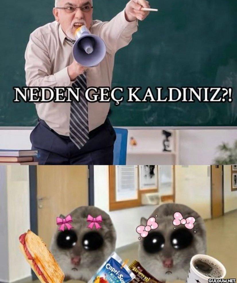 NEDEN GEÇ KALDINIZ?! L Capri-S O