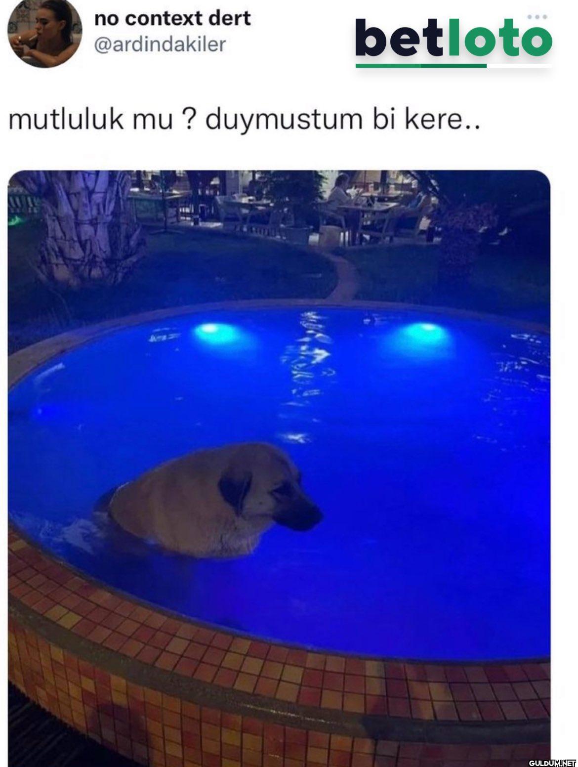 betloto mutluluk mu ?...