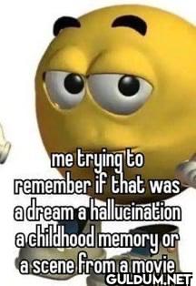 me trying to remember if...