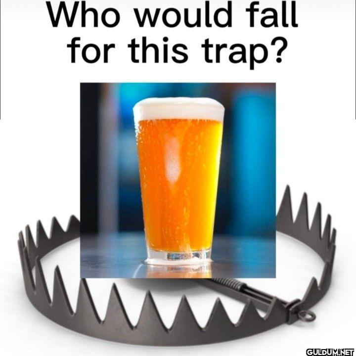Who would fall for this trap?