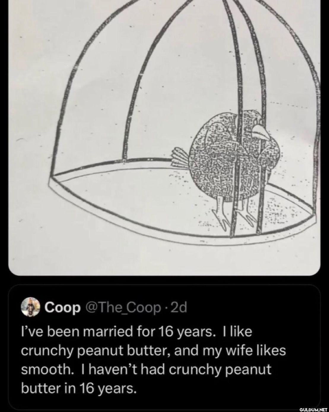 I've been married for 16...