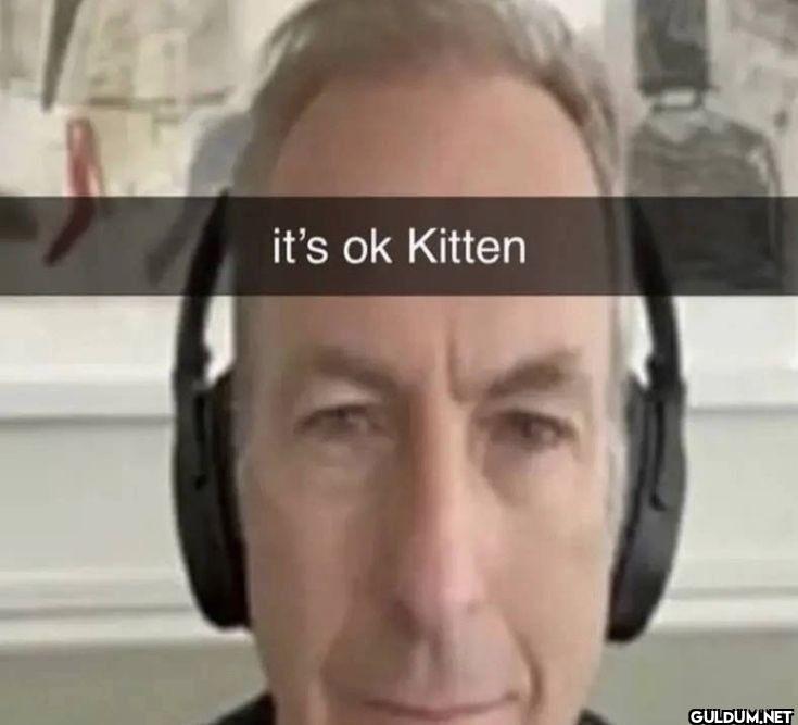 it's ok Kitten