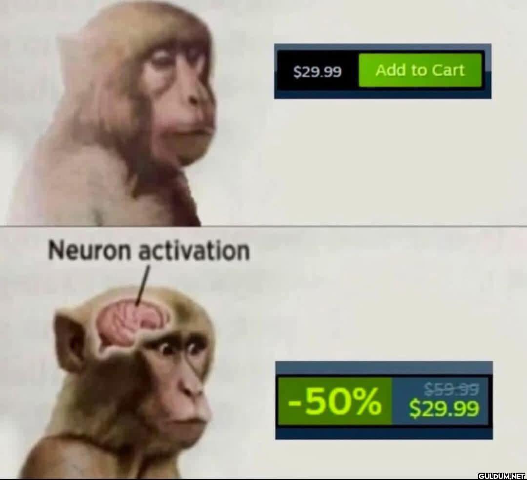 Neuron activation $29.99...