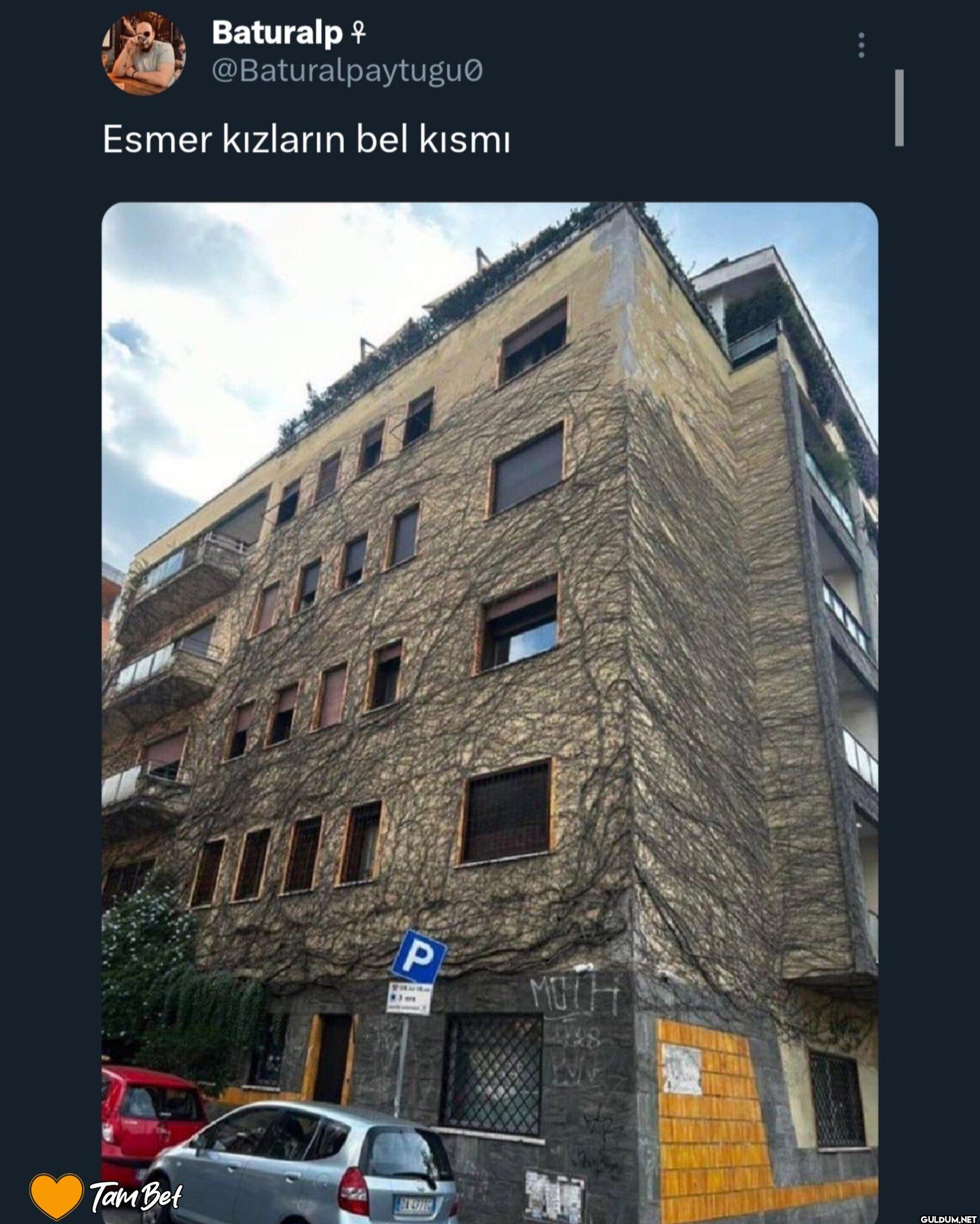 Esmer kızların bel kısmı...