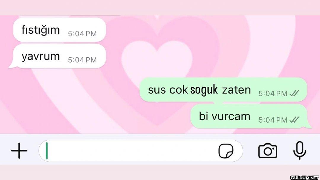 fıstığım 5:04 PM yavrum...