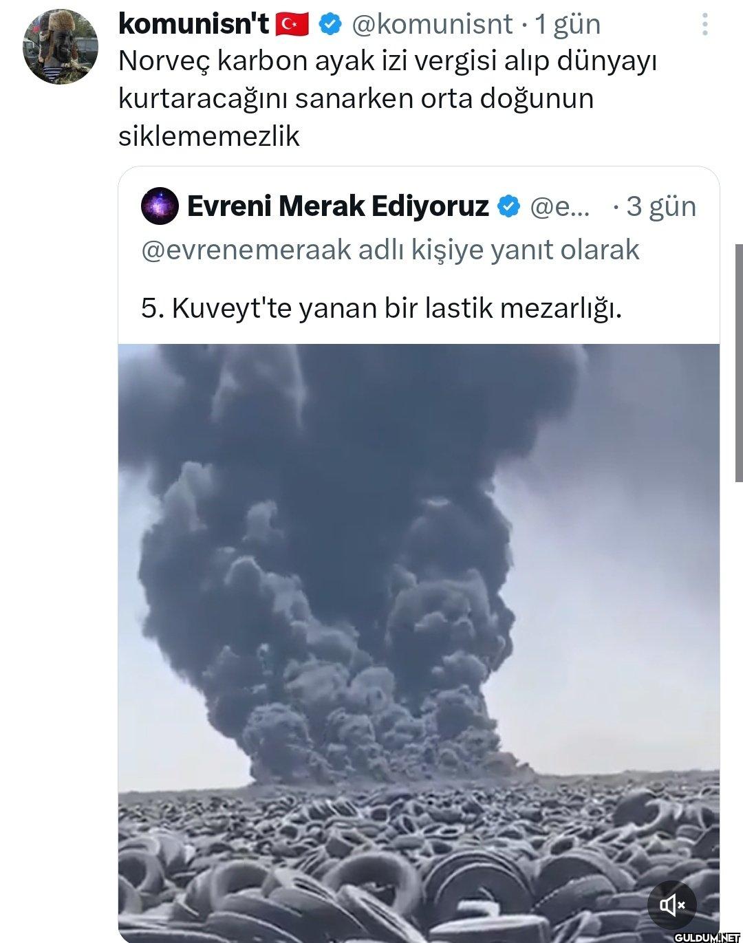 . 1 gün C Norveç karbon...