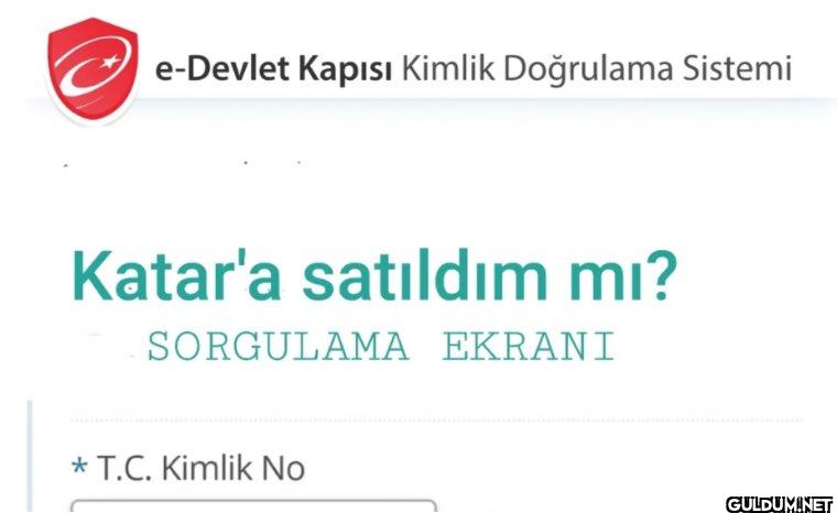 e-Devlet Kapısı Kimlik...