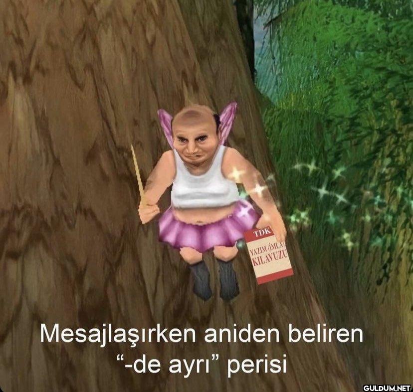 TDK YAZIM (IMLA) KILAVUZU...