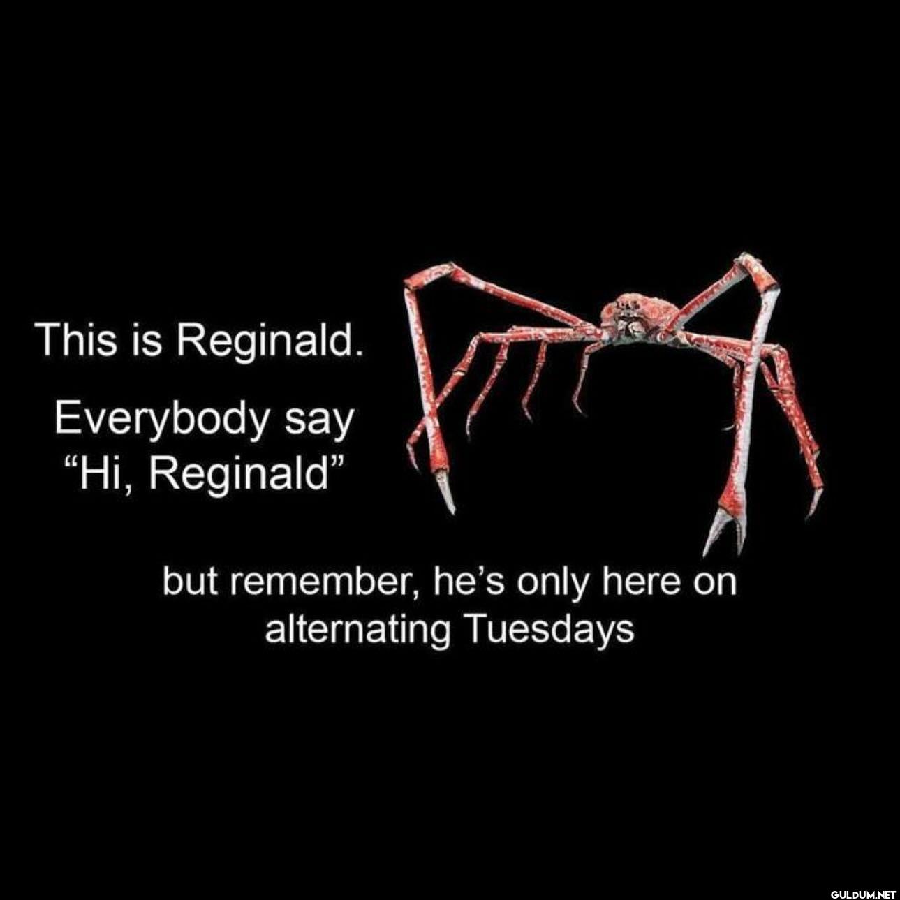 This is Reginald....