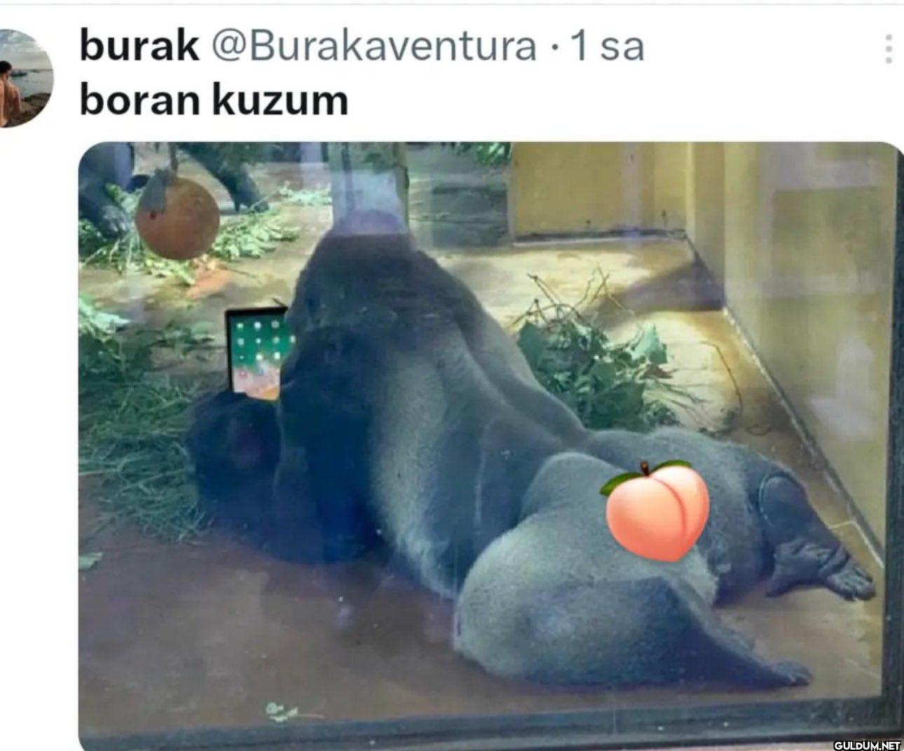 Popular post